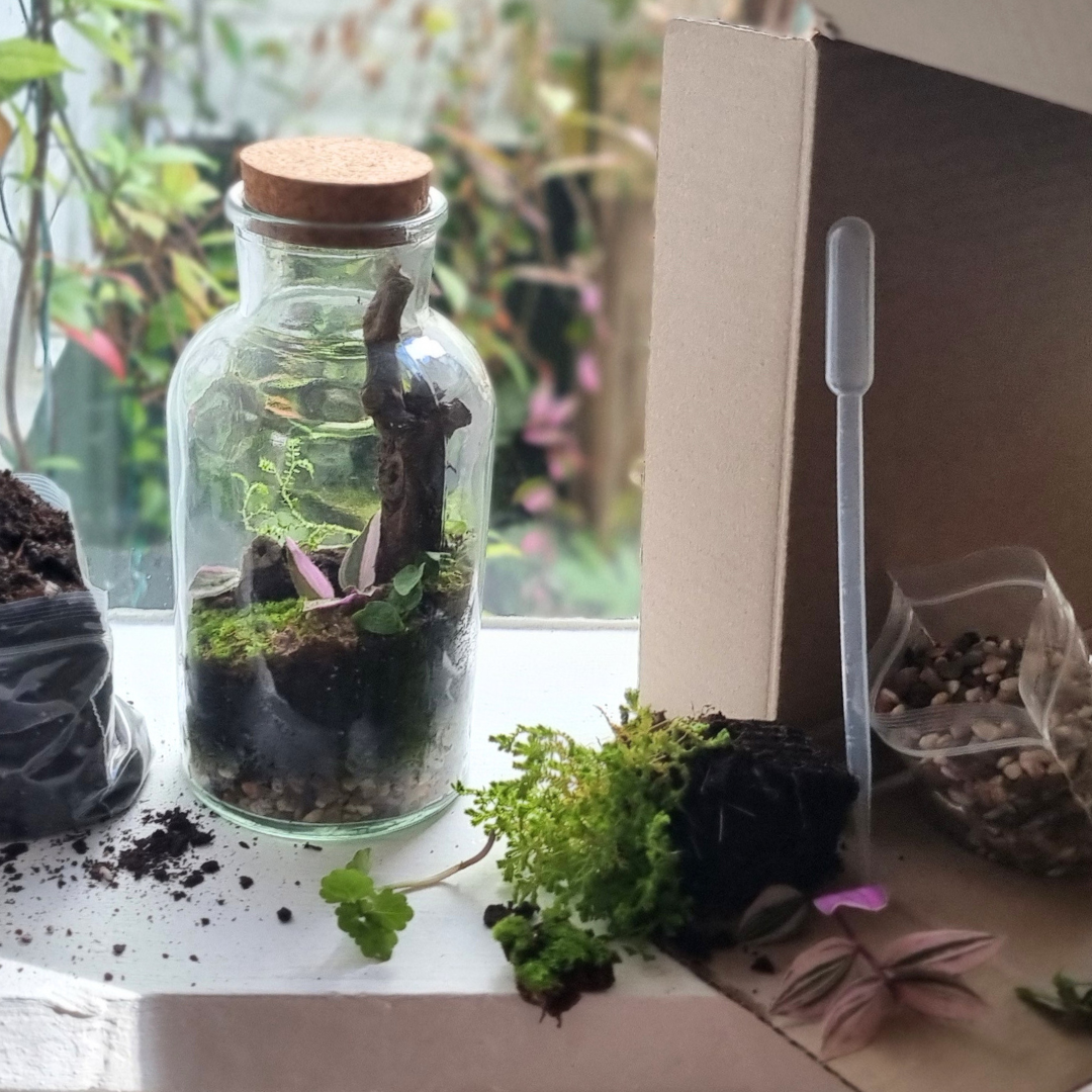 Bottle Terrarium Kit