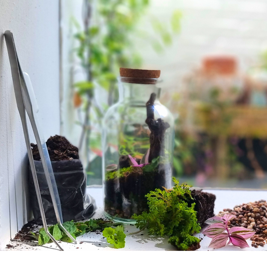 Bottle Terrarium Kit