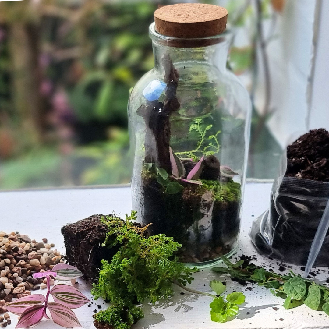 Bottle Terrarium Kit