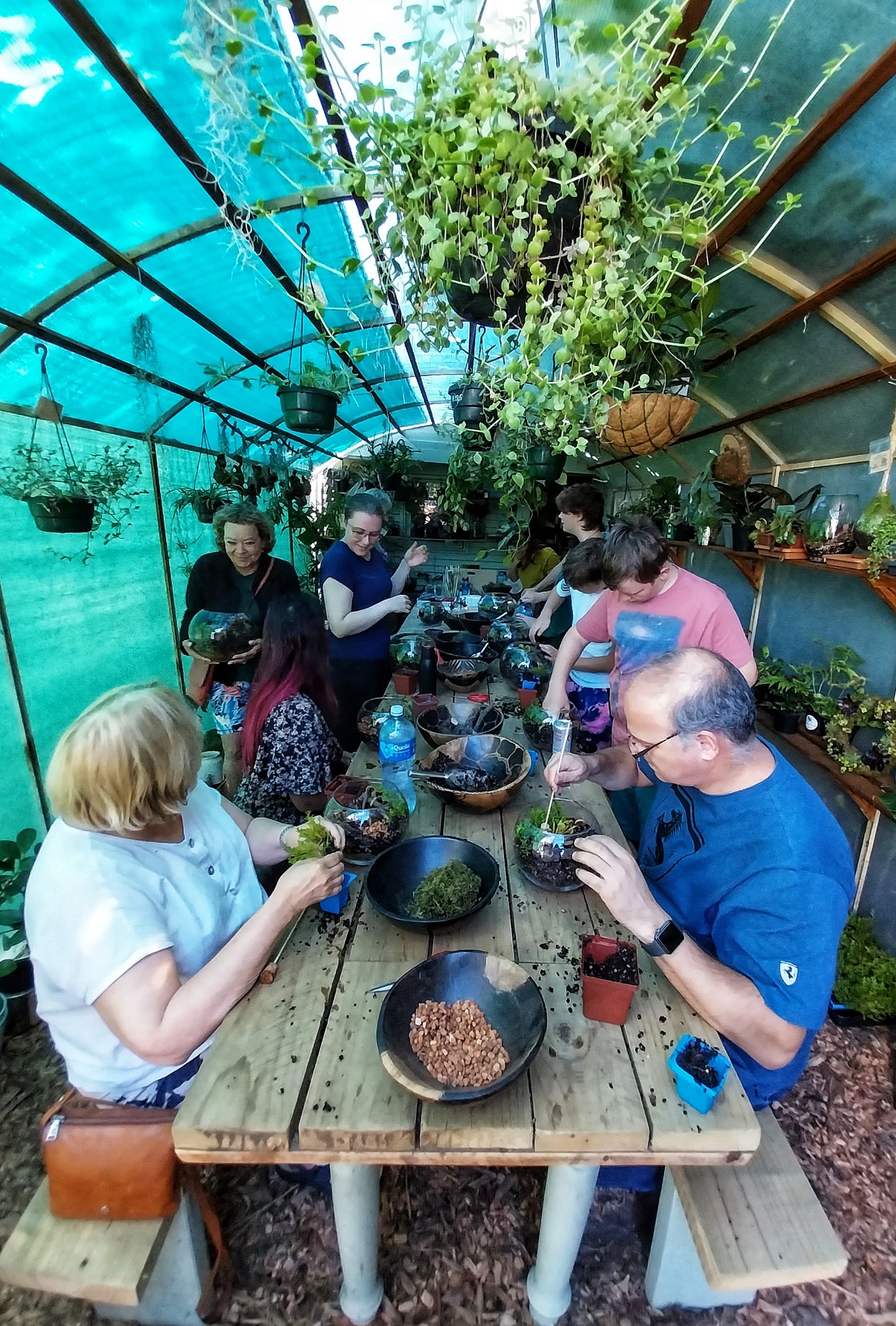Terrarium Workshop | Fri 14 & Sat 15 Aug | Pretoria East - The Doodle Shack