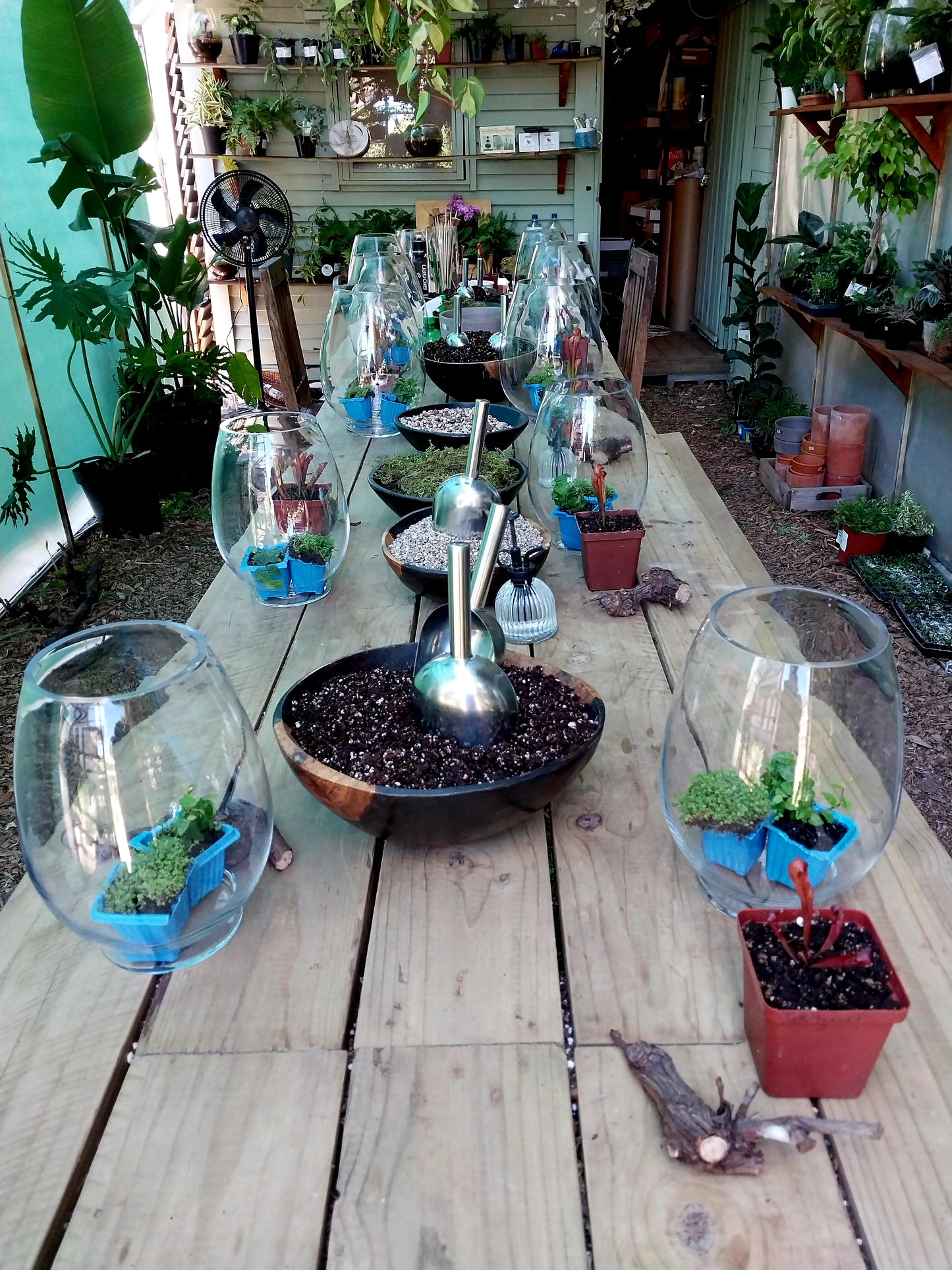 Courtyard 53 Studio - The Greenhouse - 53 Constantia Main Rd