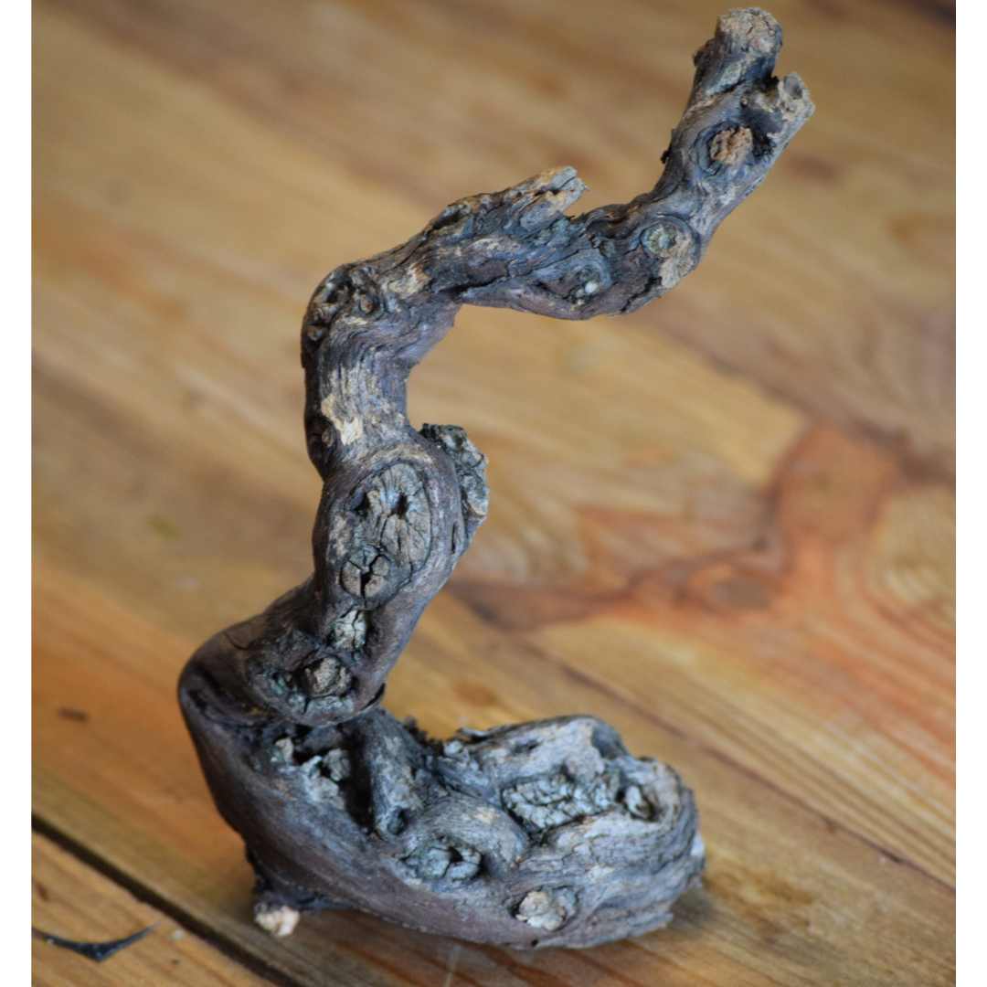Decorative Vine Wood