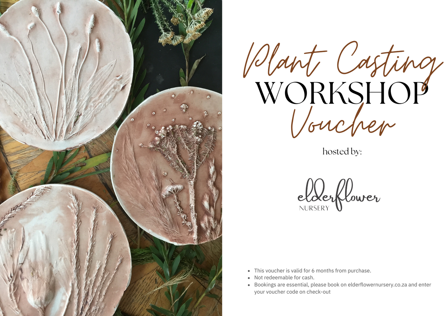 Plant Casting Workshop Gift Card