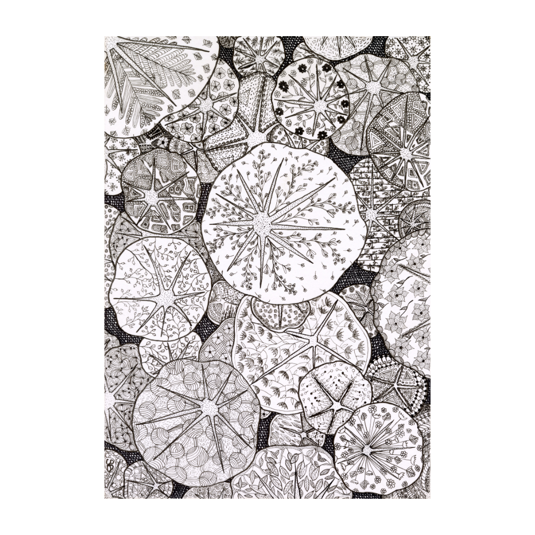 Botanical Line Art Prints (A3)