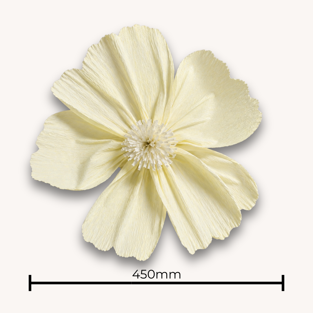 Poppy Arrangement (Set of Three) | Pastel Mix