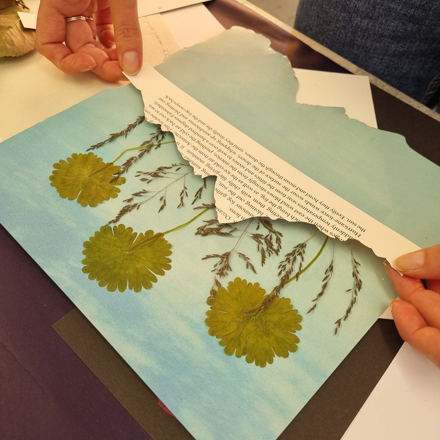 Botanical Collage Workshop | Sat, 20 Sep | Wynberg - Elderflower Creative