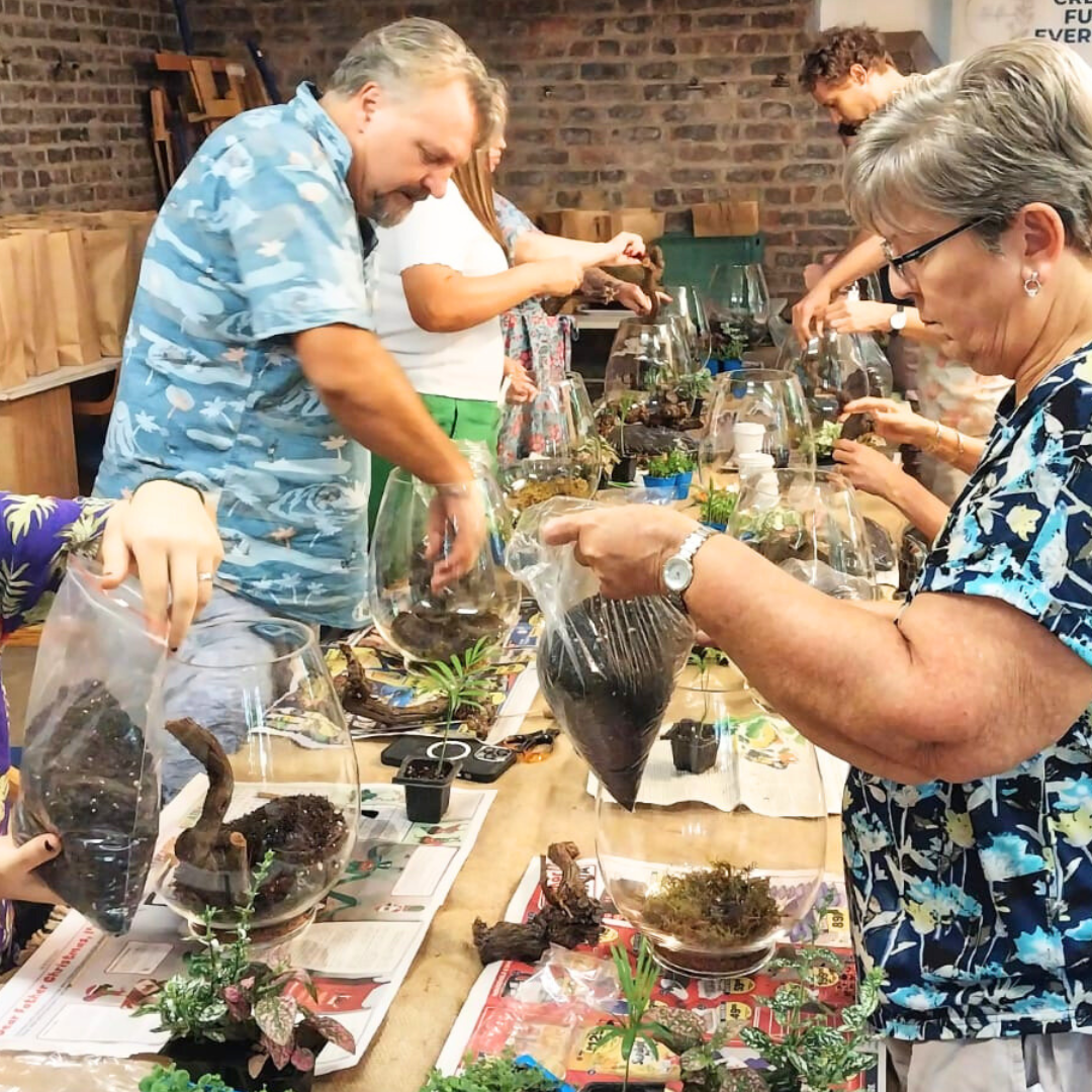 Tropical Terrarium Workshop | Sat, 24 Jan 2026 | Durbanville - Rust & Vrede Gallery
