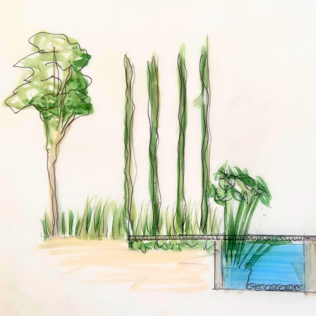 Introduction To Garden Design | Full Day Course | Sat, 27 Jun | Wynberg