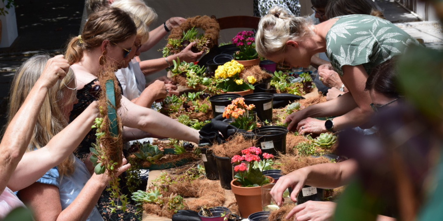 Succulent Wreath Workshop | Sat, 1 Nov | Wynberg - Elderflower Creative