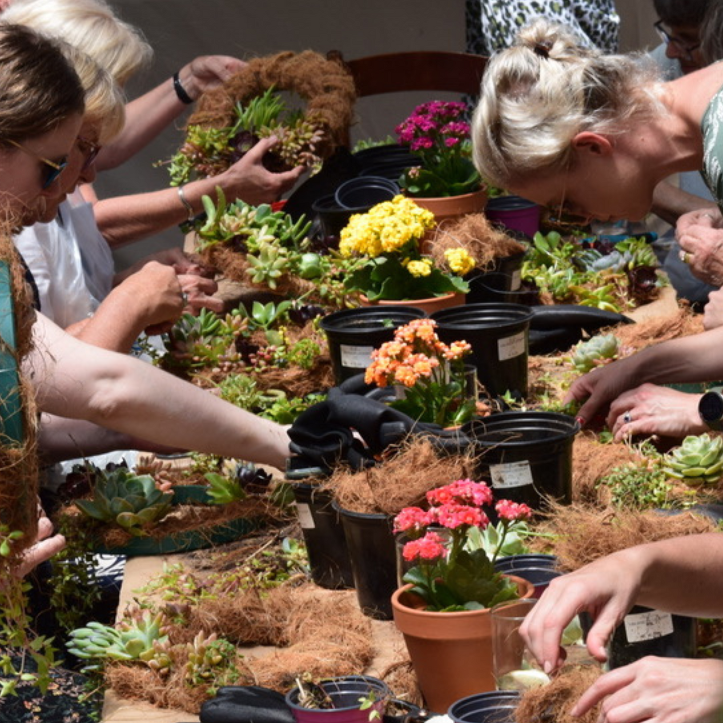 Succulent Wreath Workshop | Sat, 5 Dec | Pretoria East - The Doodle Shack