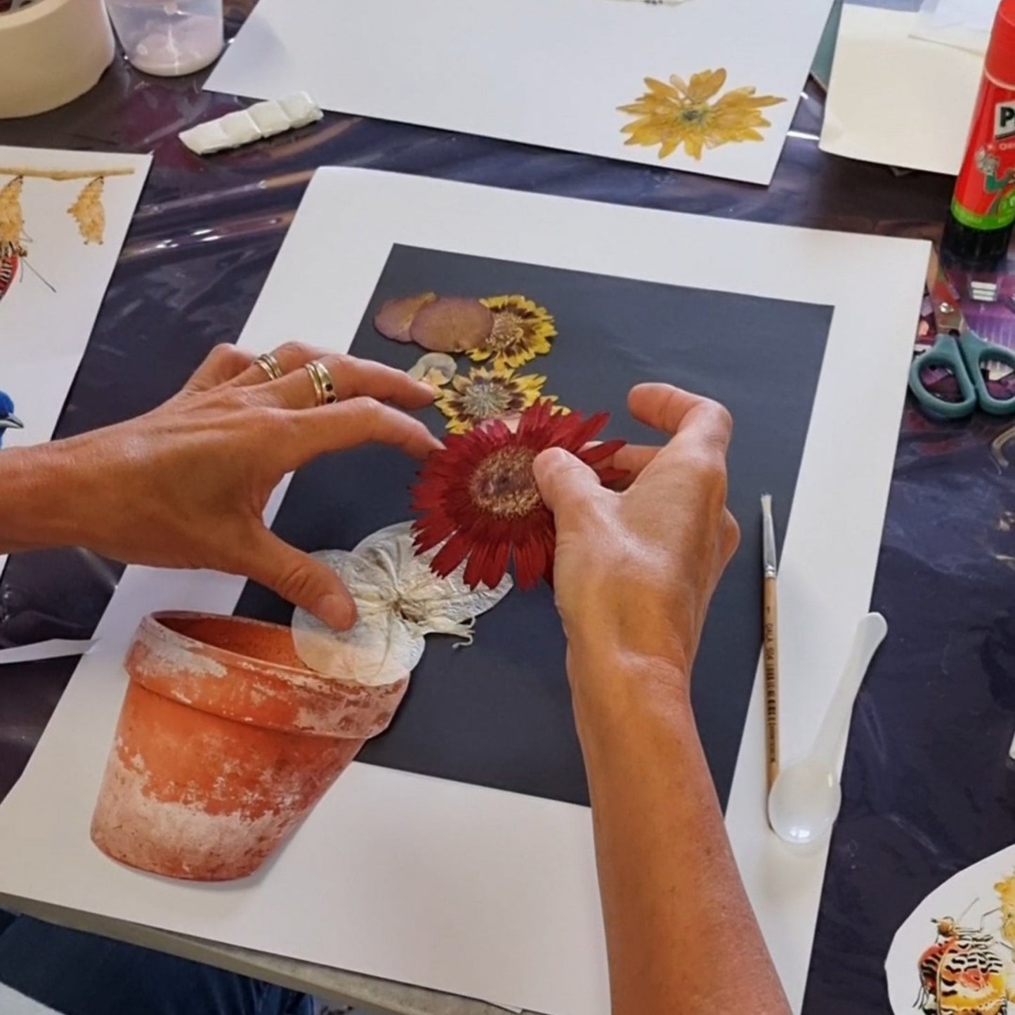 Botanical Collage Workshop | Sat, 20 Sep | Wynberg - Elderflower Creative