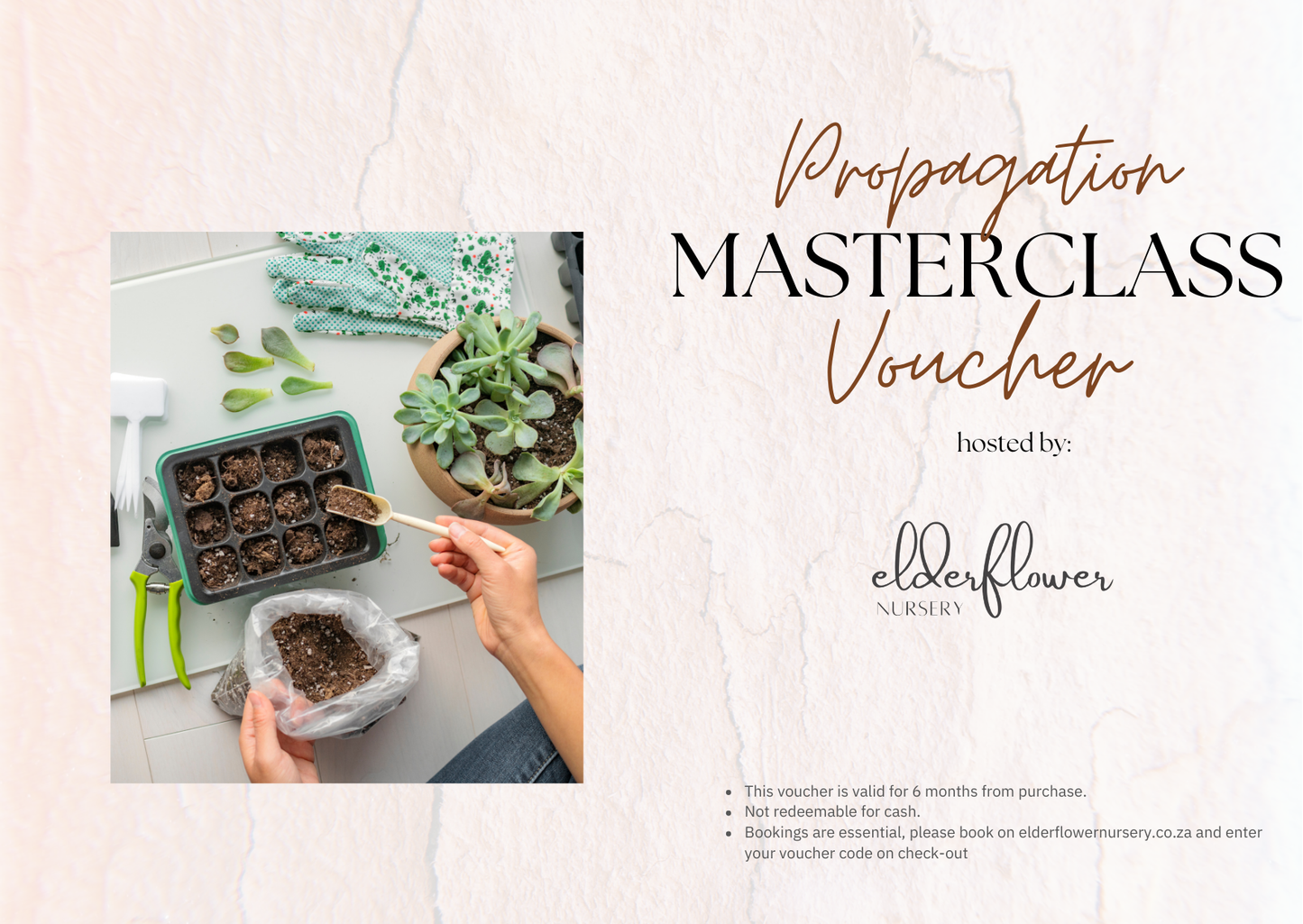 Propagation Workshop Giftcard