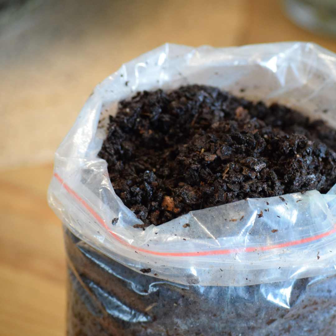 Terrarium Soil Mix