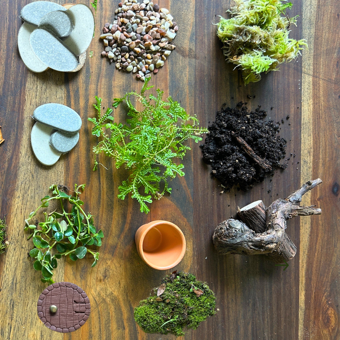 Hobbit House Terrarium Kit