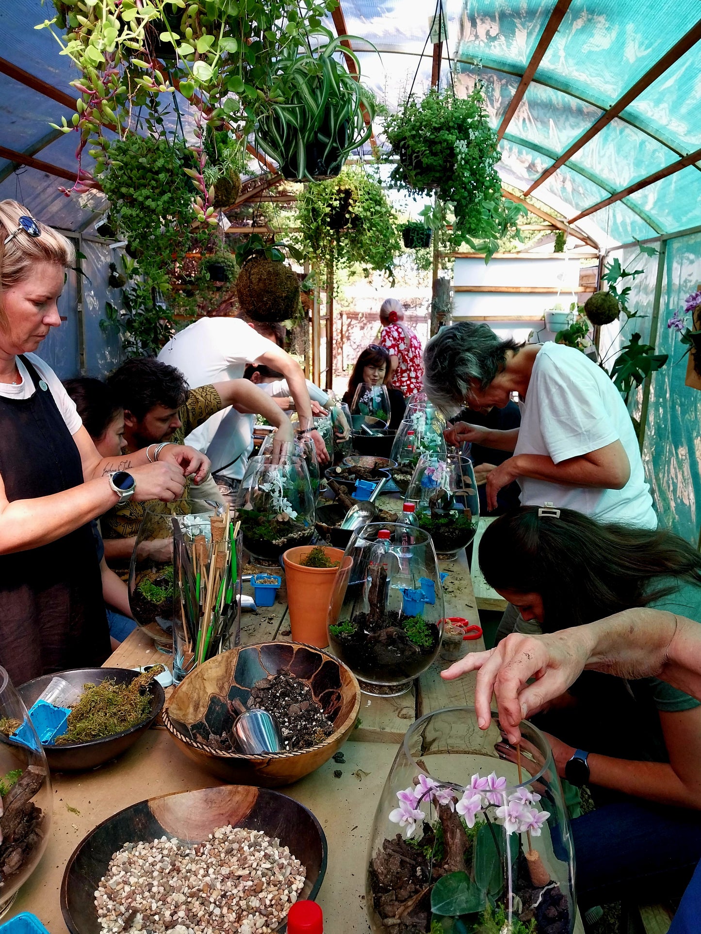 Courtyard 53 Studio - The Greenhouse - 53 Constantia Main Rd