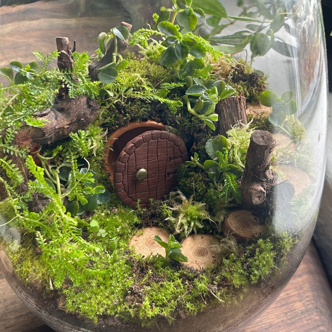 Hobbit House Terrarium Workshop | Sat, 3 Oct | Durbanville - Rust-en-Vrede Gallery