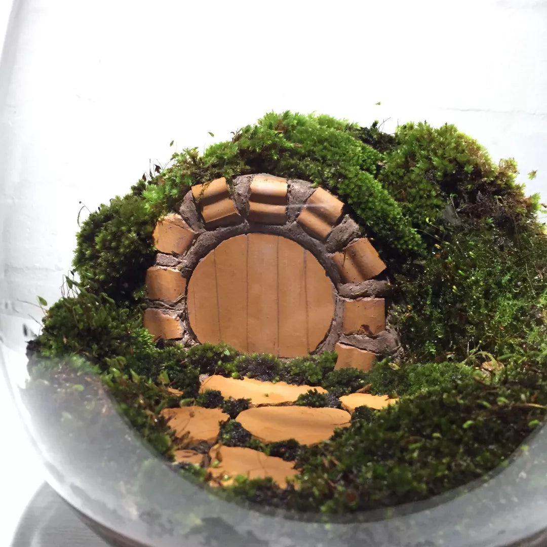 Hobbit Hole Terrarium