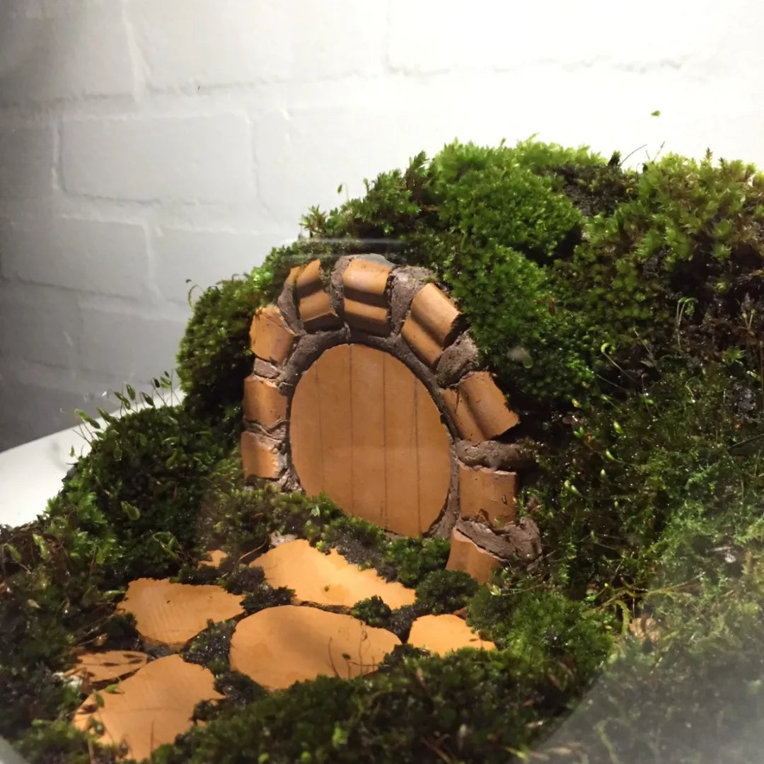 Hobbit Hole Terrarium