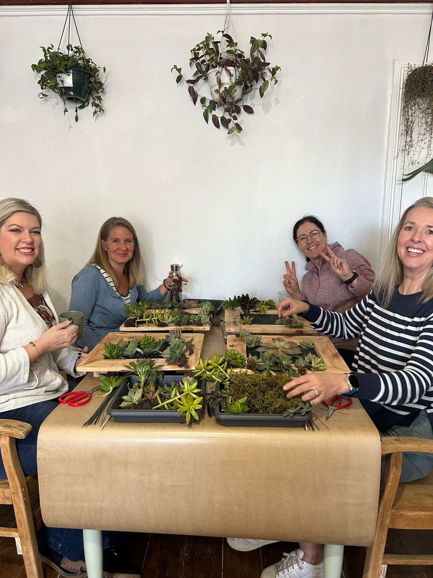Succulent Frame Workshop | Sat, 6 Sep | Stellenbosch - Warwick Wine