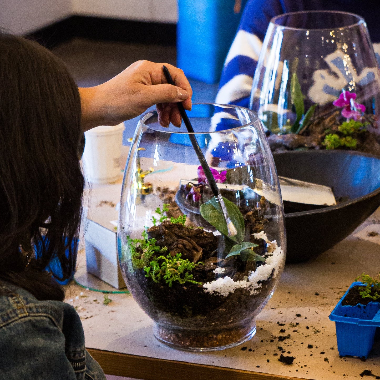 Orchid Terrarium Workshops 2026 | Wynberg - Elderflower Creative