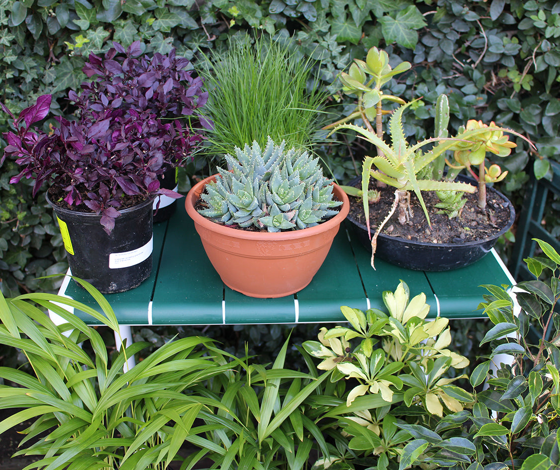 Greenhouse Shelving