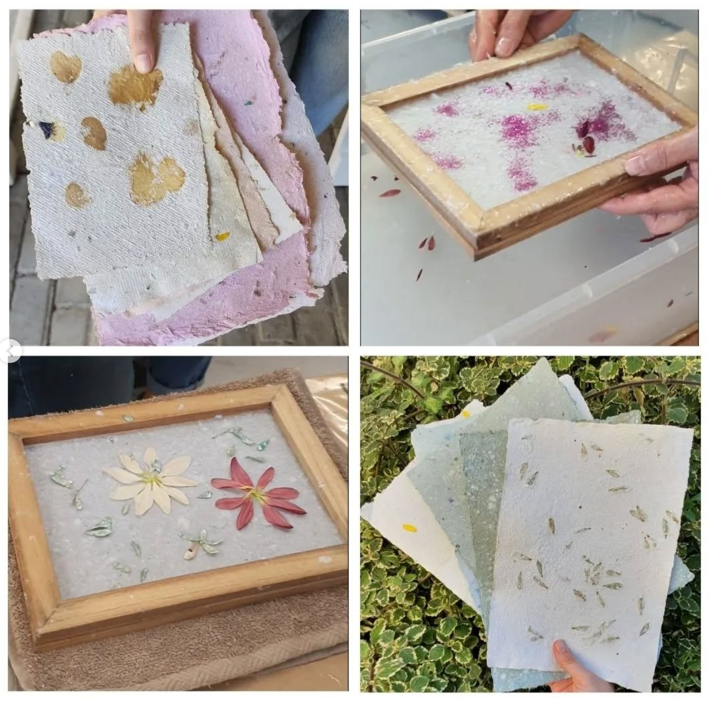 Botanical Paper Making Workshop | Sat, 16 Aug | Wynberg - Elderflower Creative | 2:00 pm