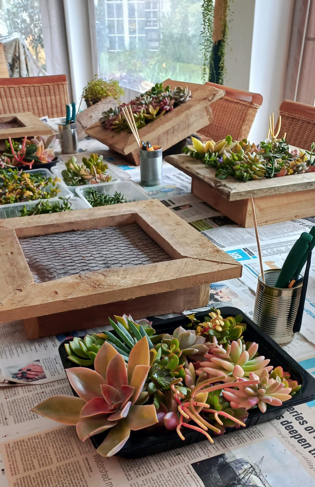 Succulent Wall Planter Workshop