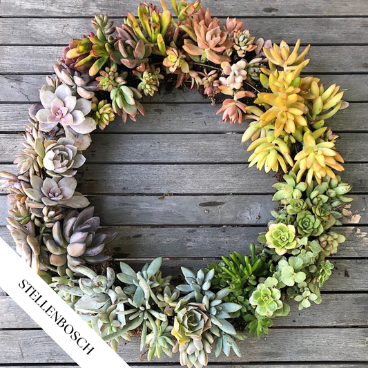 Succulent Wreath Workshop | Sat, 8 Nov  | Stellenbosch - Warwick Wine