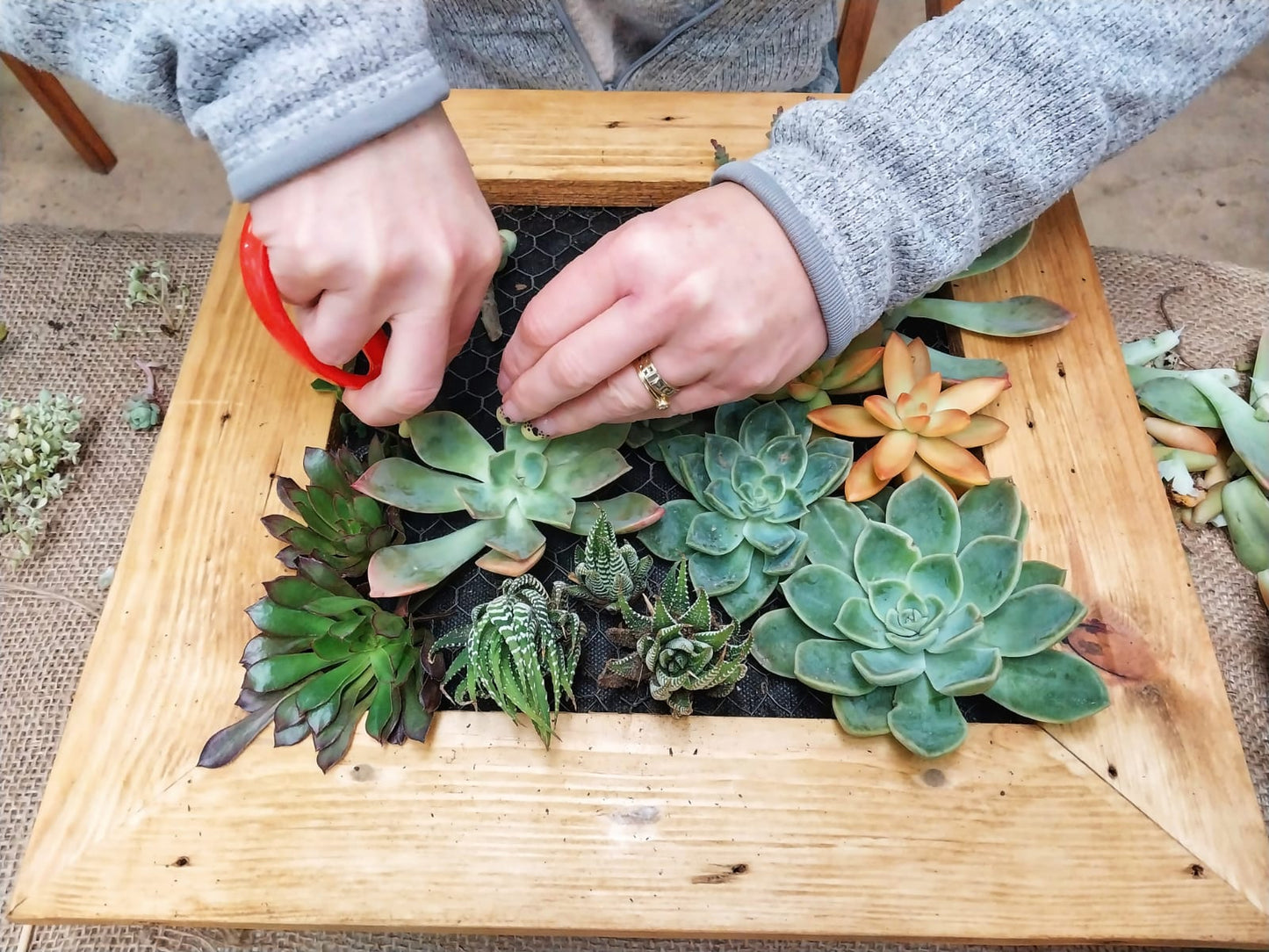 Succulent Wall Frame Gift Card