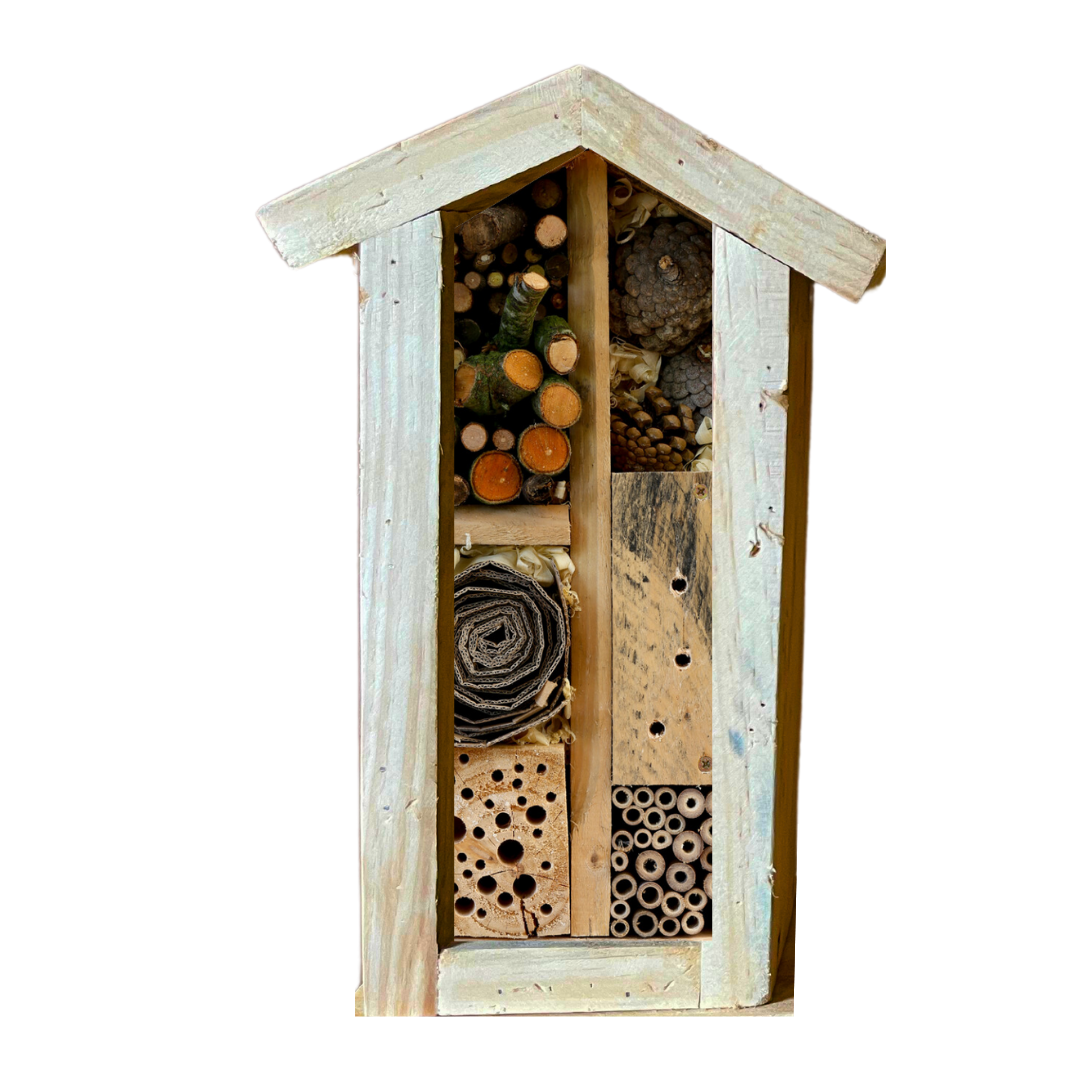 Bug Hotel Workshop | Sat, 20 Sep | Stanford in Bloom
