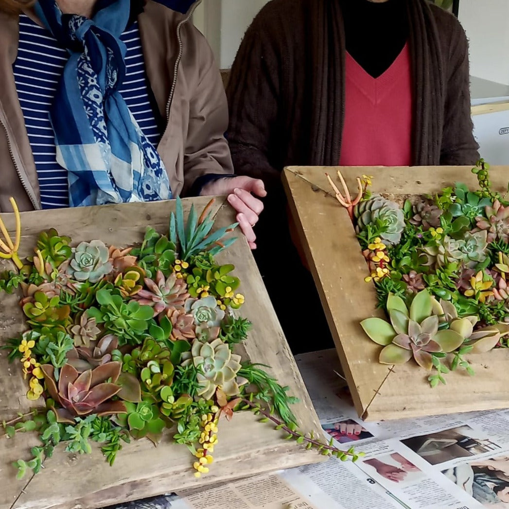 Succulent Wall Planter Workshop