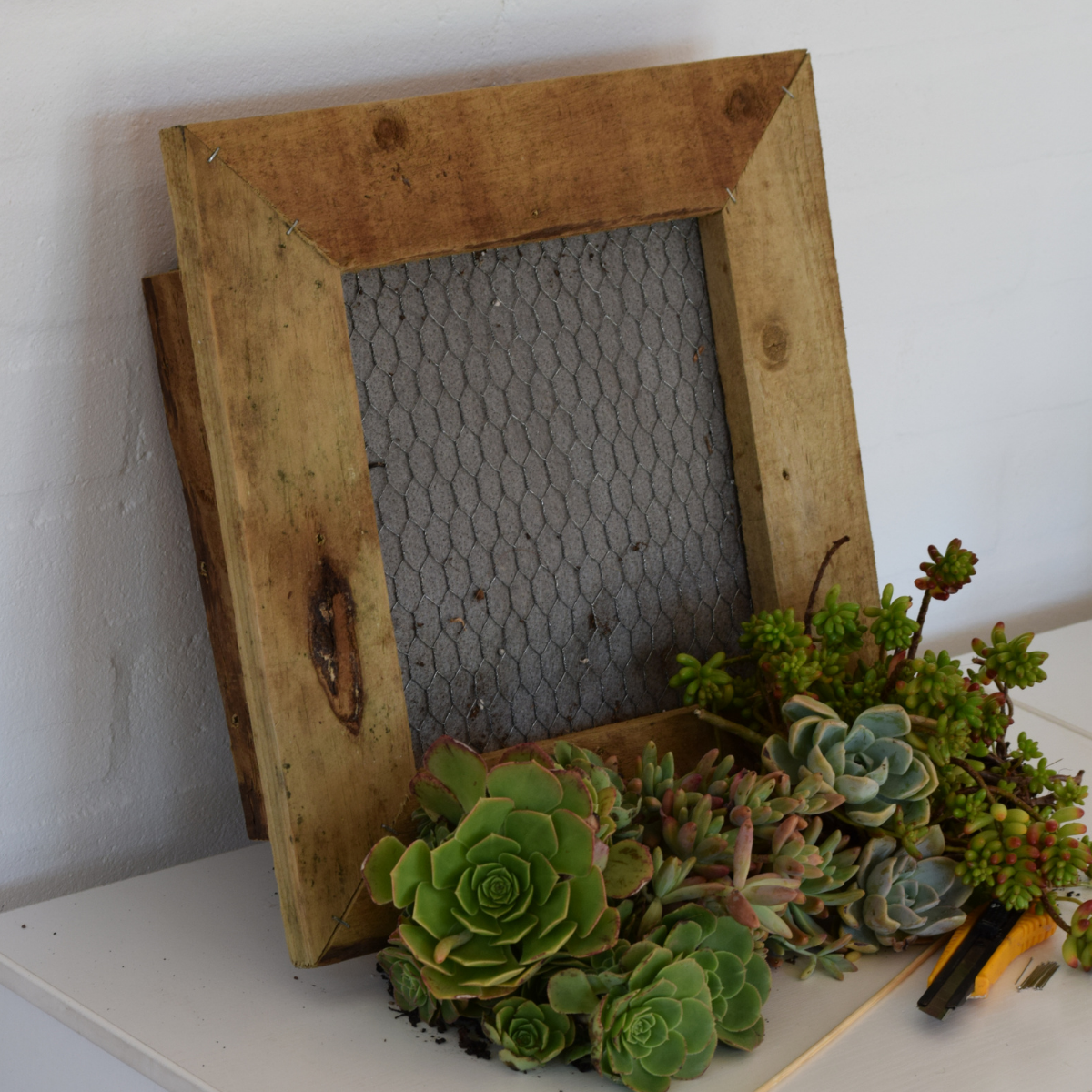 Succulent Wall Planter Workshop