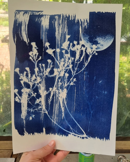 Cyanotype Botanical Printing Workshop | Sat, 14 Mar  | Wynberg - Elderflower Creative