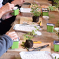 Success with Seeds Workshop : Fynbos Edition | Sat, 9 May | Newlands, Montebello
