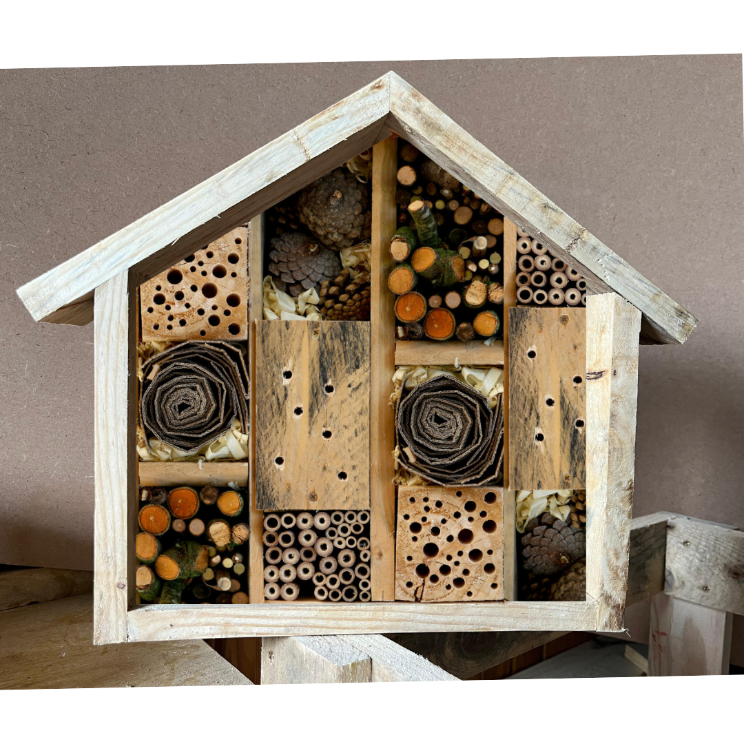 Bug Hotel Giftcard