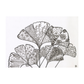 Botanical Line Art Prints (A3)