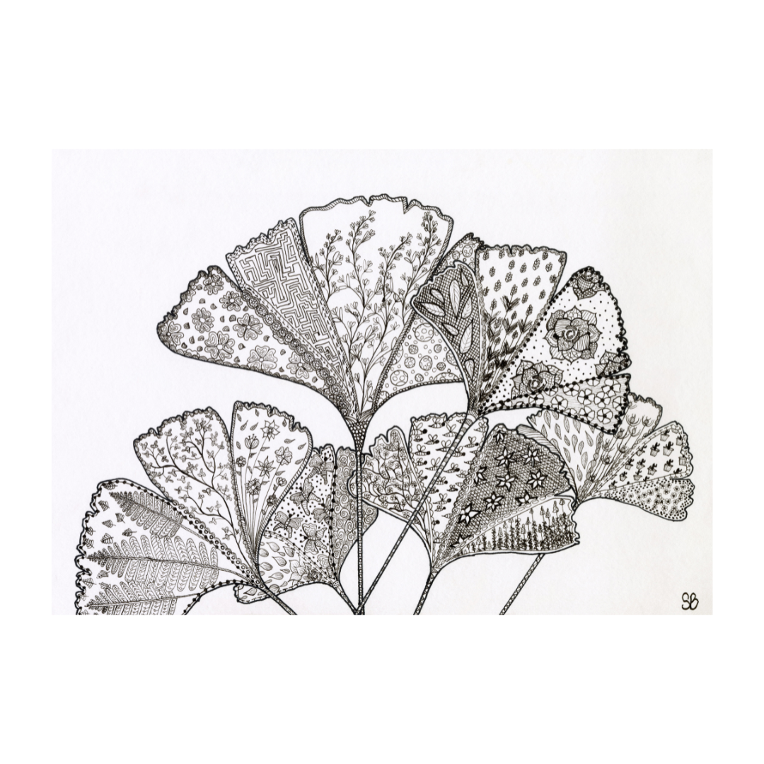 Botanical Line Art Prints (A3)