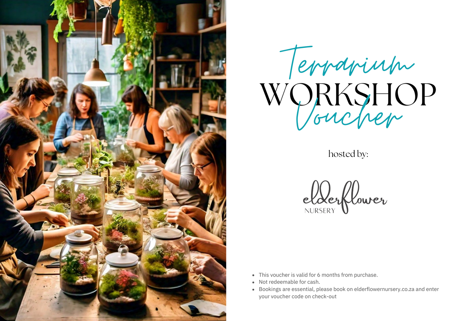 Terrarium Workshop Gift Card