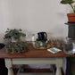 34 Constantia Main rd Studio | Wynberg | Elderflower Creative