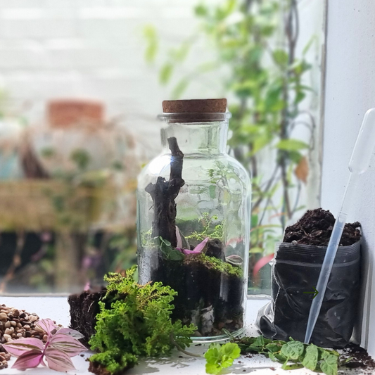 Terrarium Workshop & Light Brunch | Wed, 18 Jun  | Wynberg - Elderflower Creative | 10:00 am