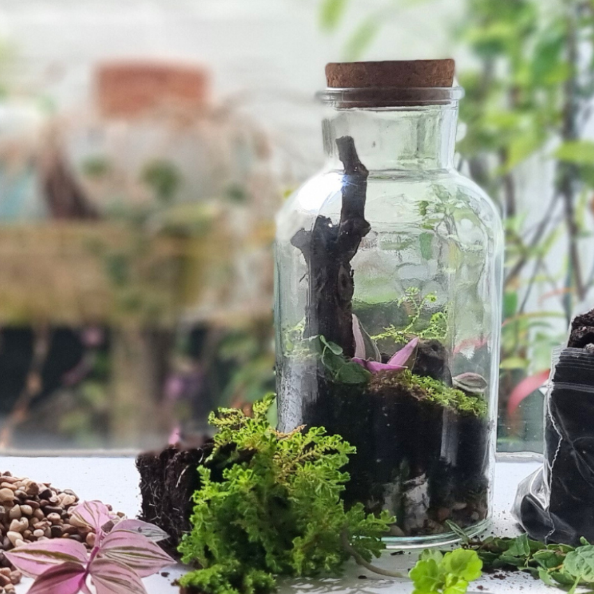 Terrarium Workshop | Sat, 10 Oct  | Wynberg - Elderflower Creative