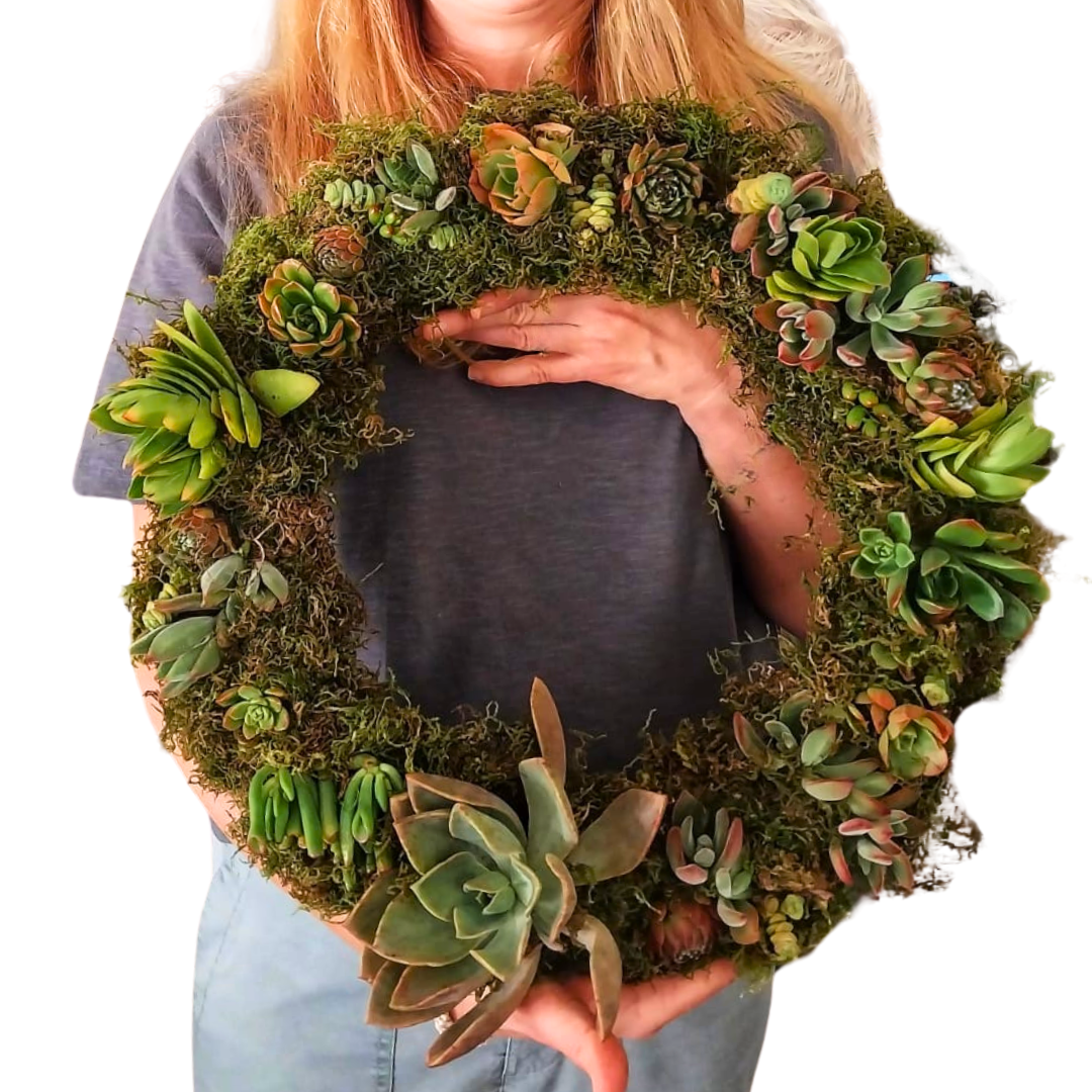 Live Succulent Wreath