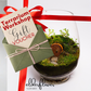 Terrarium Workshop Gift Card