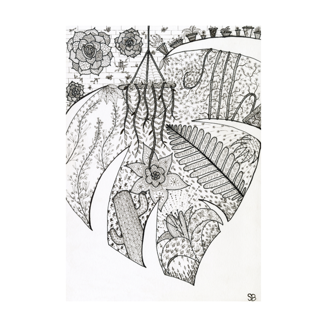 Botanical Line Art Prints (A3)