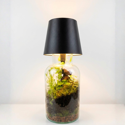 Terrarium Lamp Kit