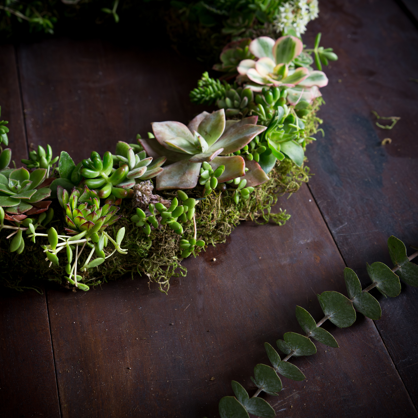 Succulent Wreath - (FREE SHIPPING)