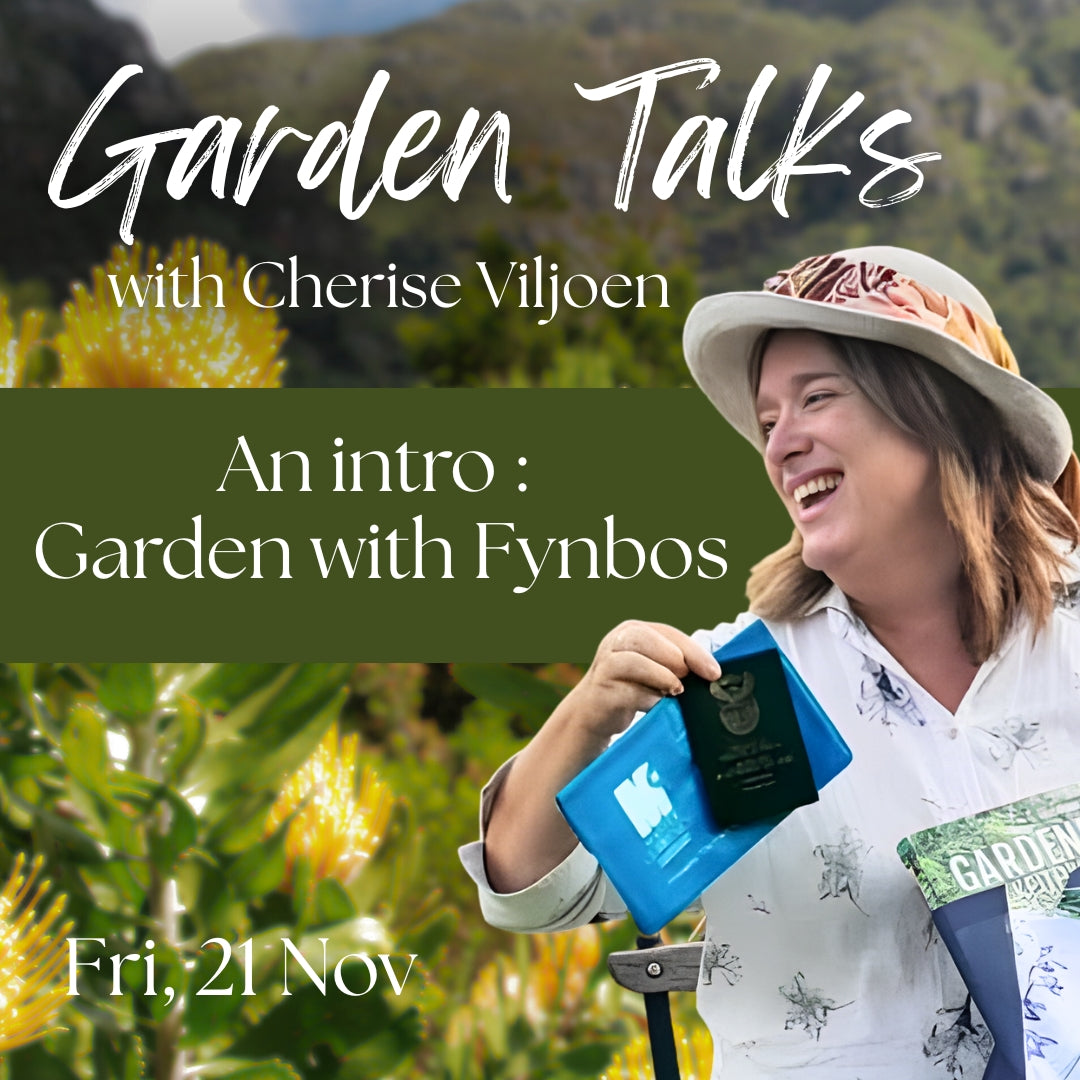 FREE Garden talk: An intro to Gardening with Fynbos | Fri, 21 Nov  | Wynberg - Elderflower Creative