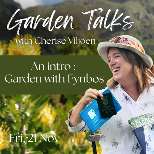 FREE Garden talk: An intro to Gardening with Fynbos | Fri, 21 Nov  | Wynberg - Elderflower Creative