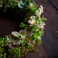 Succulent Wreath