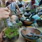 Carniverous Terrarium Workshops 2026 | Wynberg - Elderflower Creative